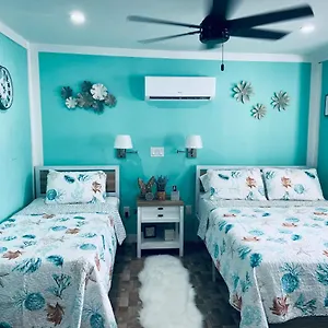 Beautiful And Comfortable Rom # 2 Tampa
